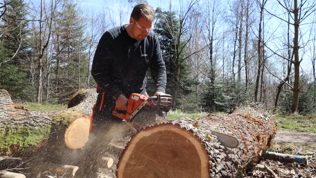 Kettensägenarbeit im Buechwald